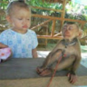 Meet your Posher, Ricardo